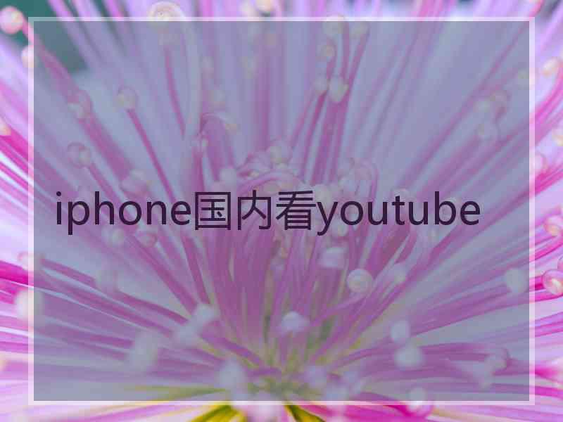 iphone国内看youtube