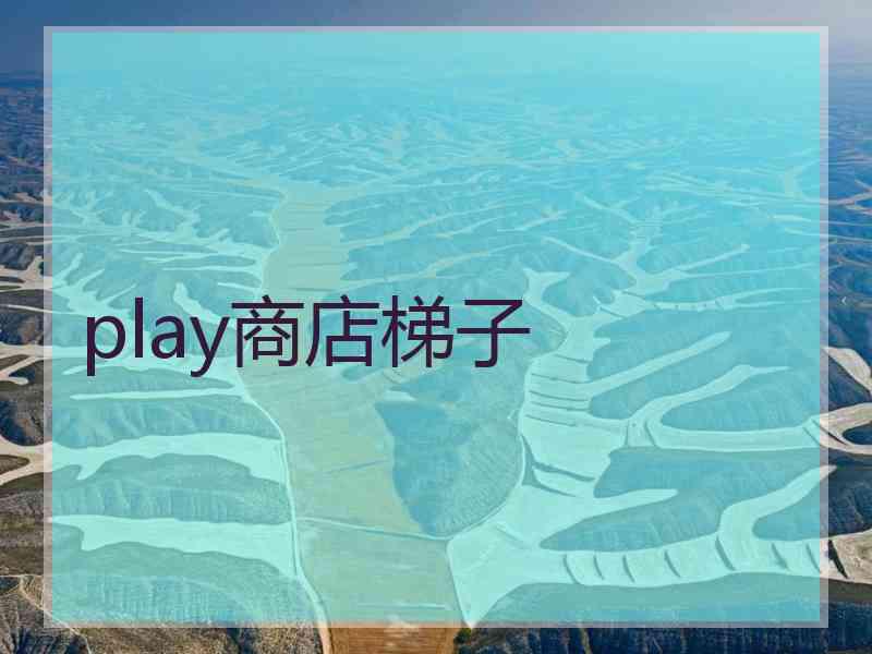 play商店梯子