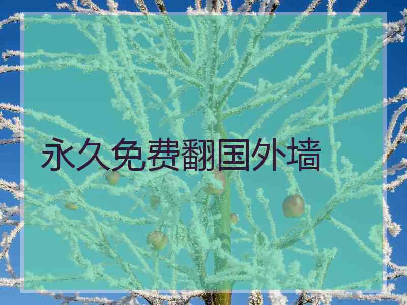 永久免费翻国外墙