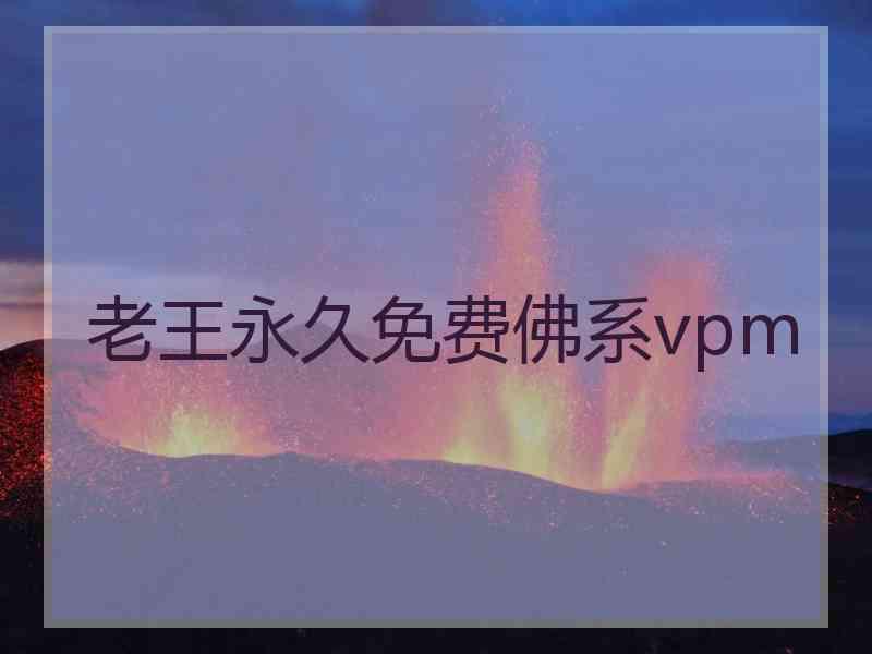 老王永久免费佛系vpm