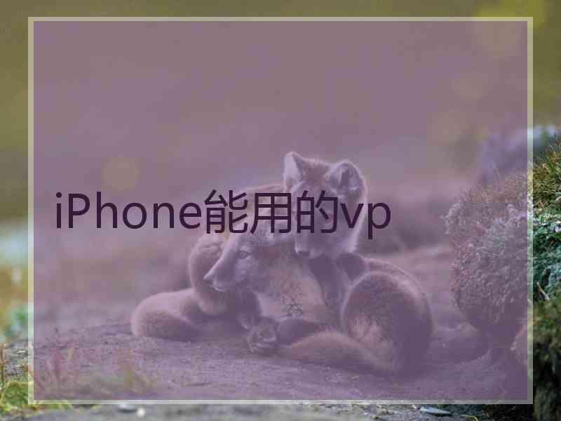 iPhone能用的vp