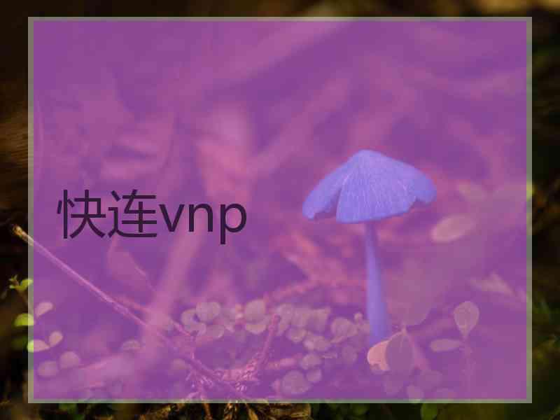 快连vnp