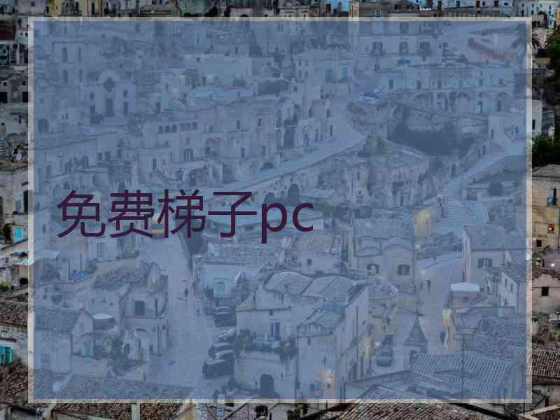 免费梯子pc