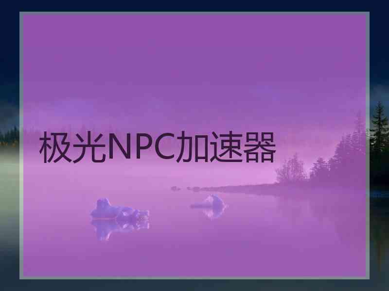 极光NPC加速器