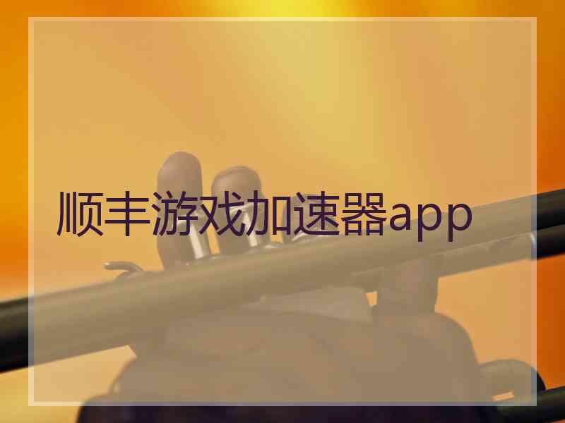 顺丰游戏加速器app