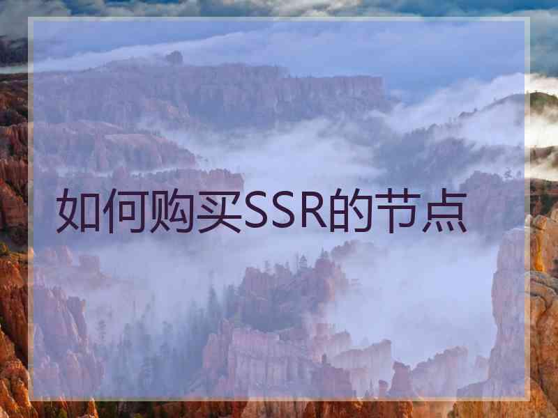 如何购买SSR的节点