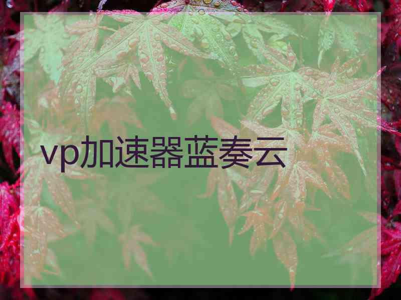 vp加速器蓝奏云