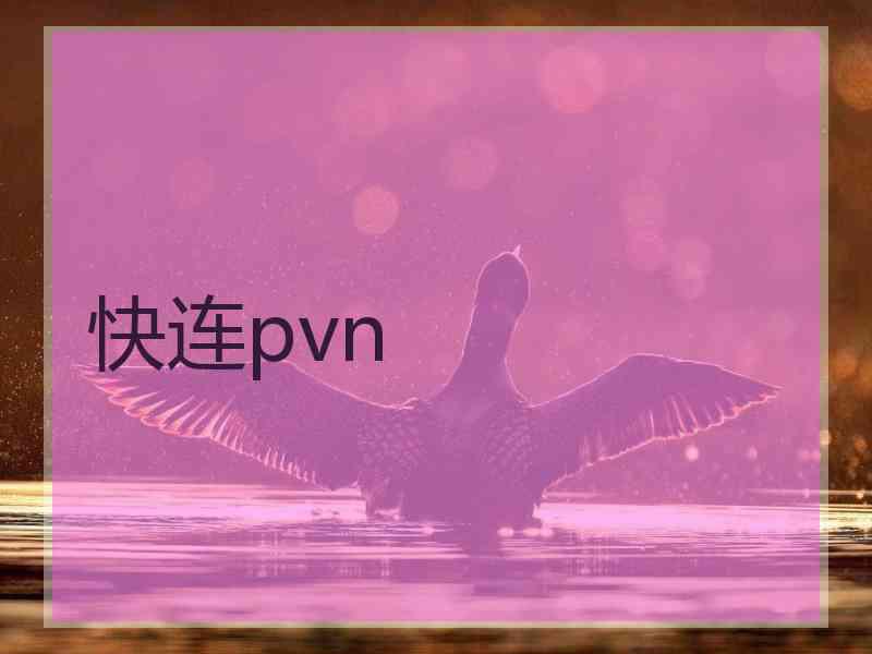 快连pvn