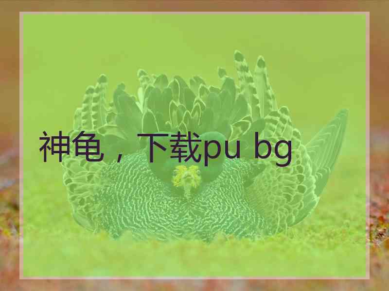 神龟，下载pu bg