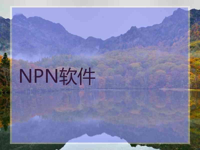 NPN软件