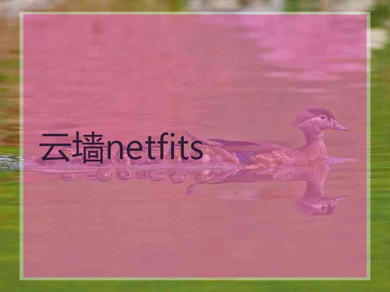 云墙netfits