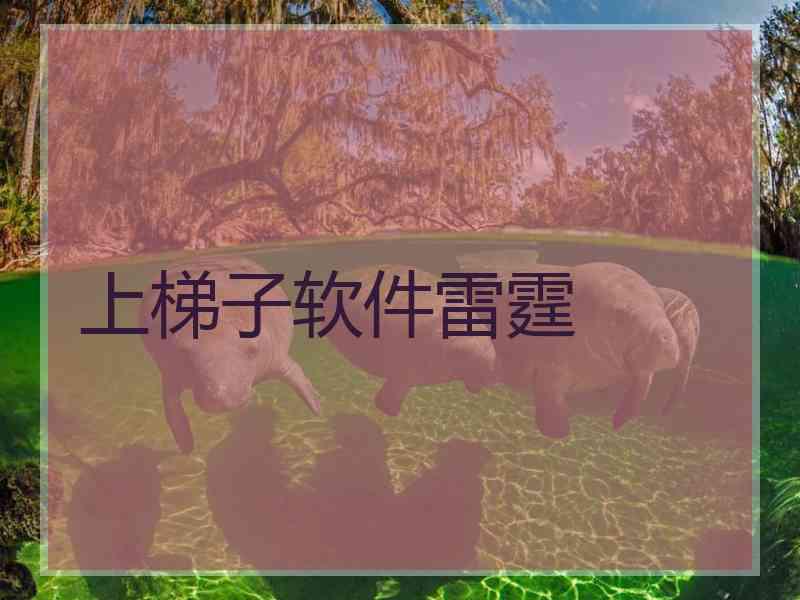 上梯子软件雷霆