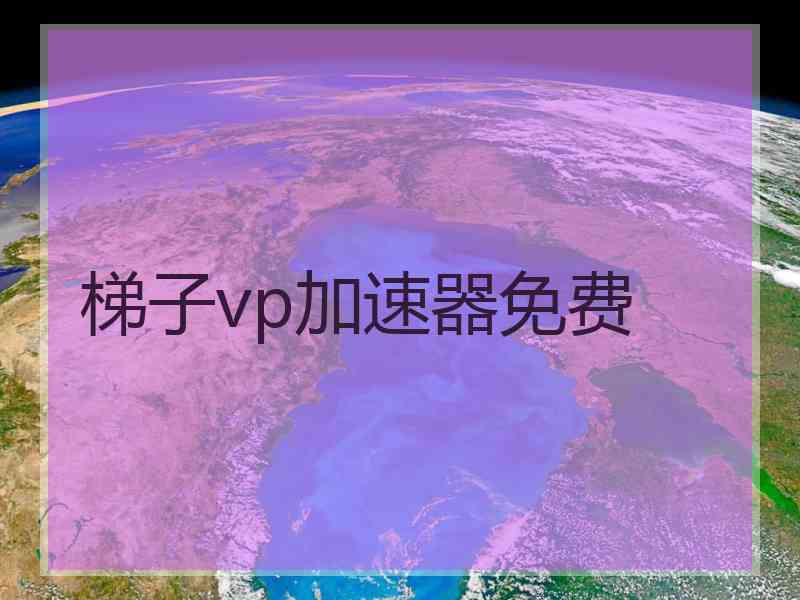 梯子vp加速器免费