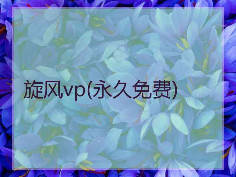 旋风vp(永久免费)