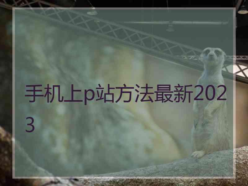 手机上p站方法最新2023