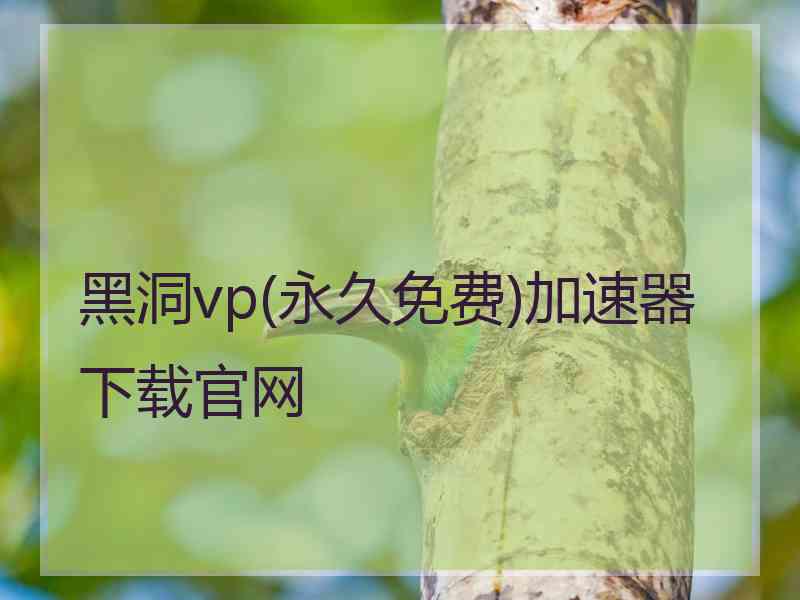 黑洞vp(永久免费)加速器下载官网