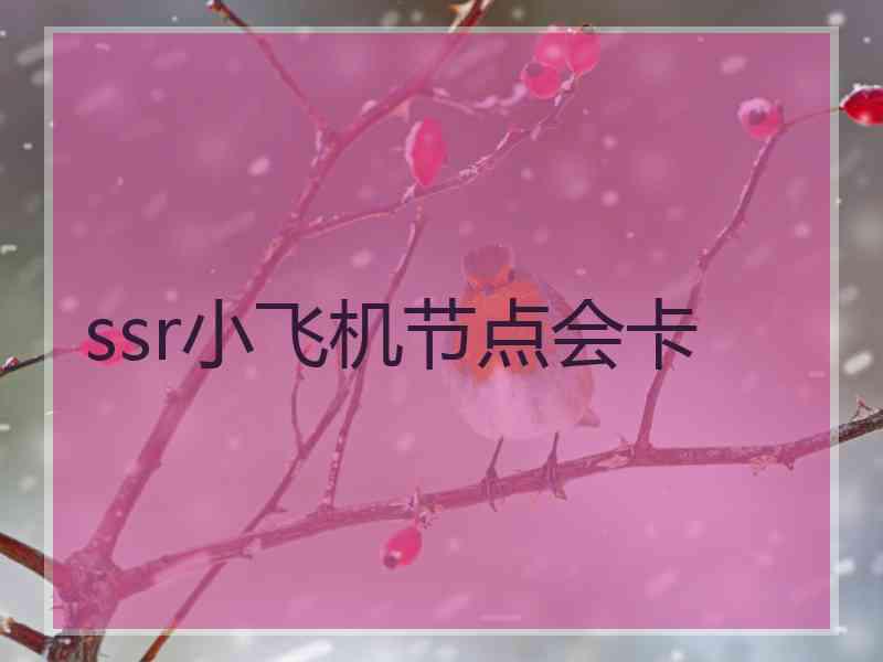 ssr小飞机节点会卡