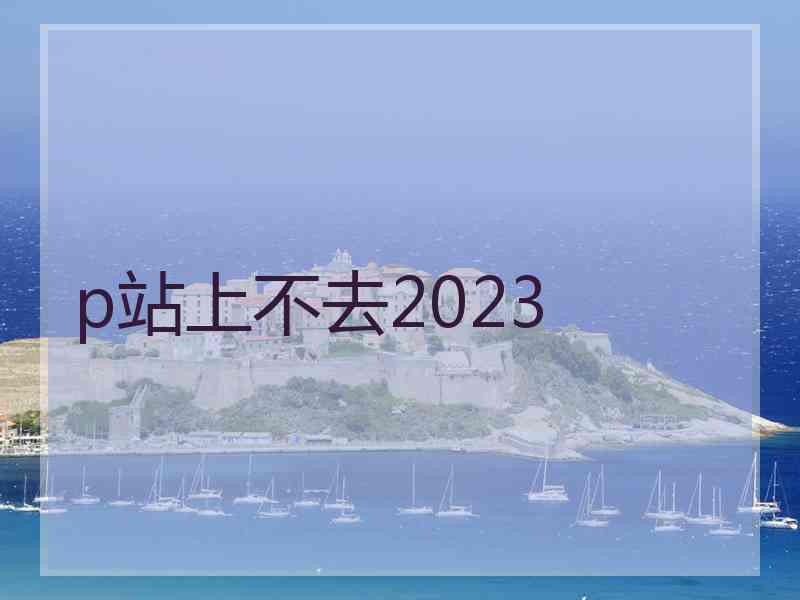 p站上不去2023