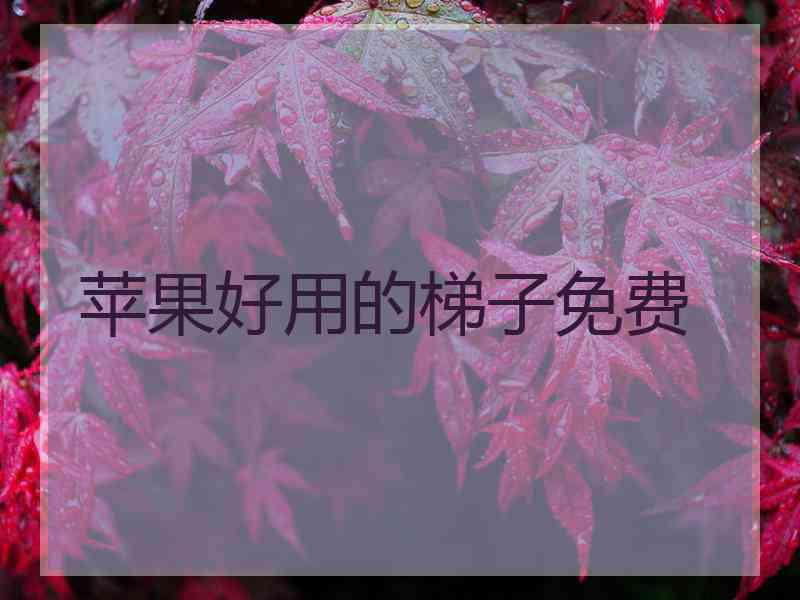 苹果好用的梯子免费