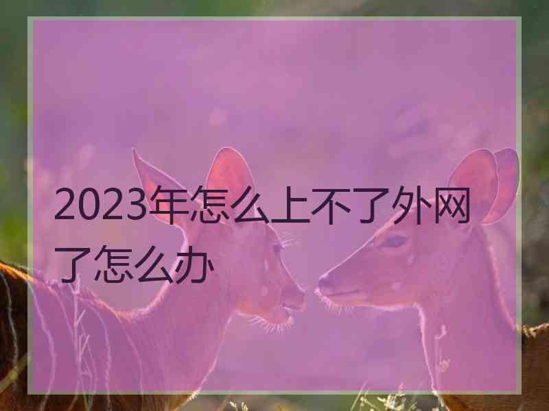 2023年怎么上不了外网了怎么办