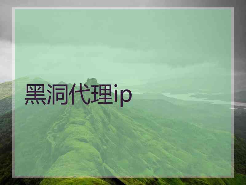 黑洞代理ip