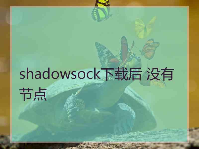 shadowsock下载后 没有节点