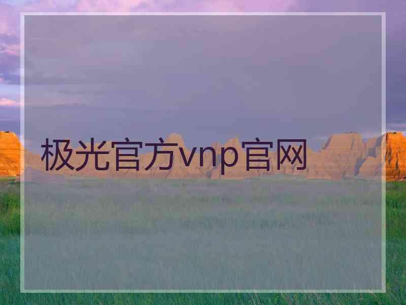 极光官方vnp官网