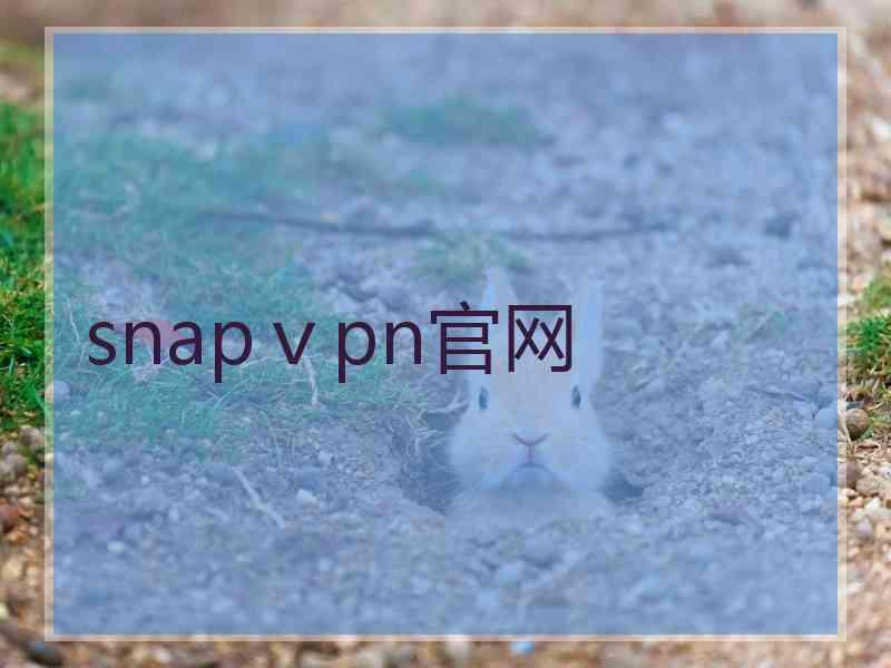 snapⅴpn官网