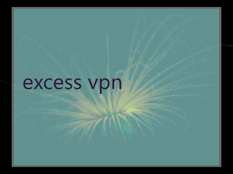 excess vpn