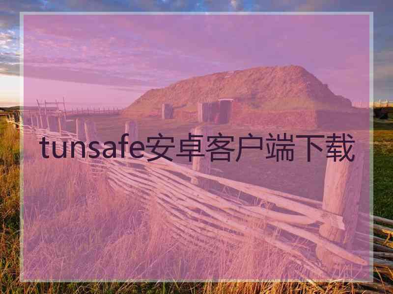 tunsafe安卓客户端下载