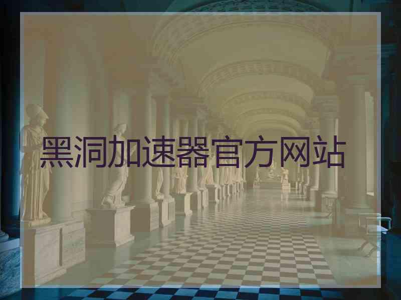 黑洞加速器官方网站