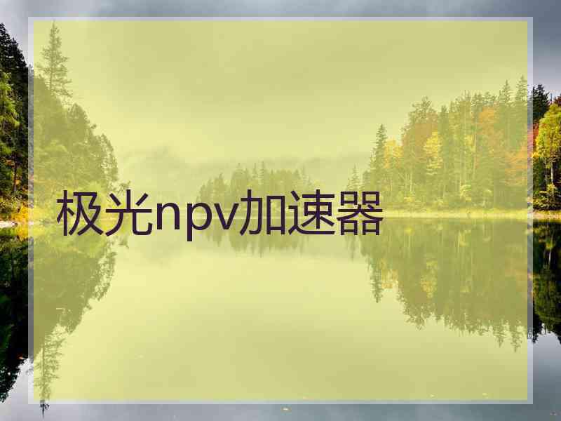 极光npv加速器