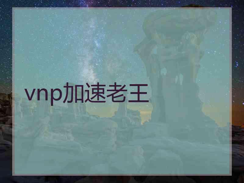 vnp加速老王