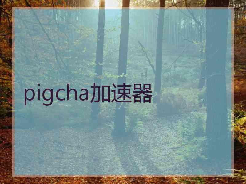 pigcha加速器