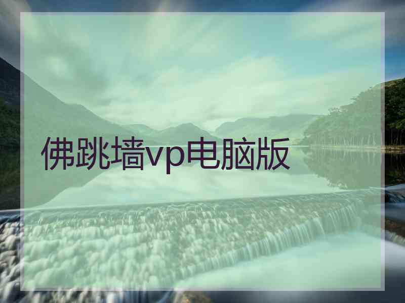 佛跳墙vp电脑版